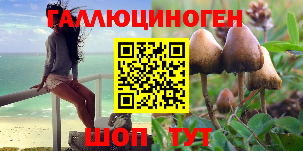 Галлюциногенные грибы GOLDEN TEACHER Бор