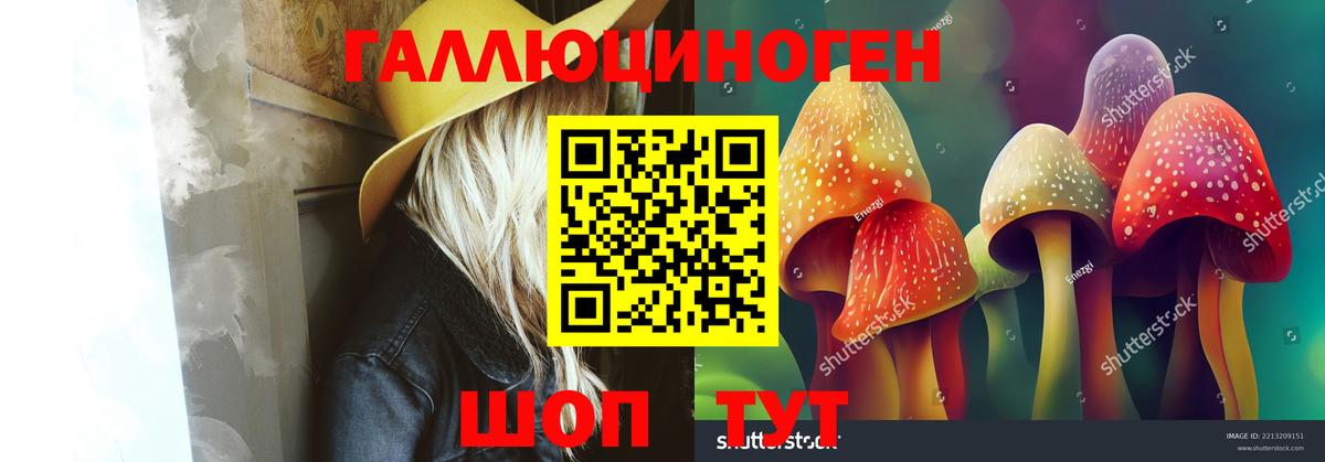 Псилоцибиновые грибы мицелий  Псилоцибиновые грибы GOLDEN TEACHER  Бор  Вход с VPN 