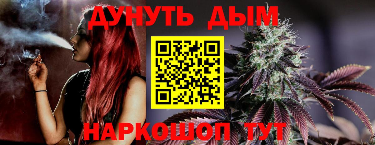 Бошки Шишки семена Бор